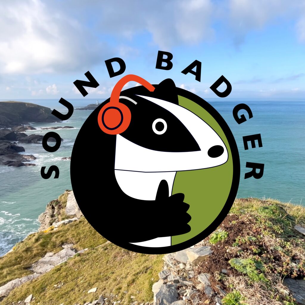 Sound Badger Godrevy Head