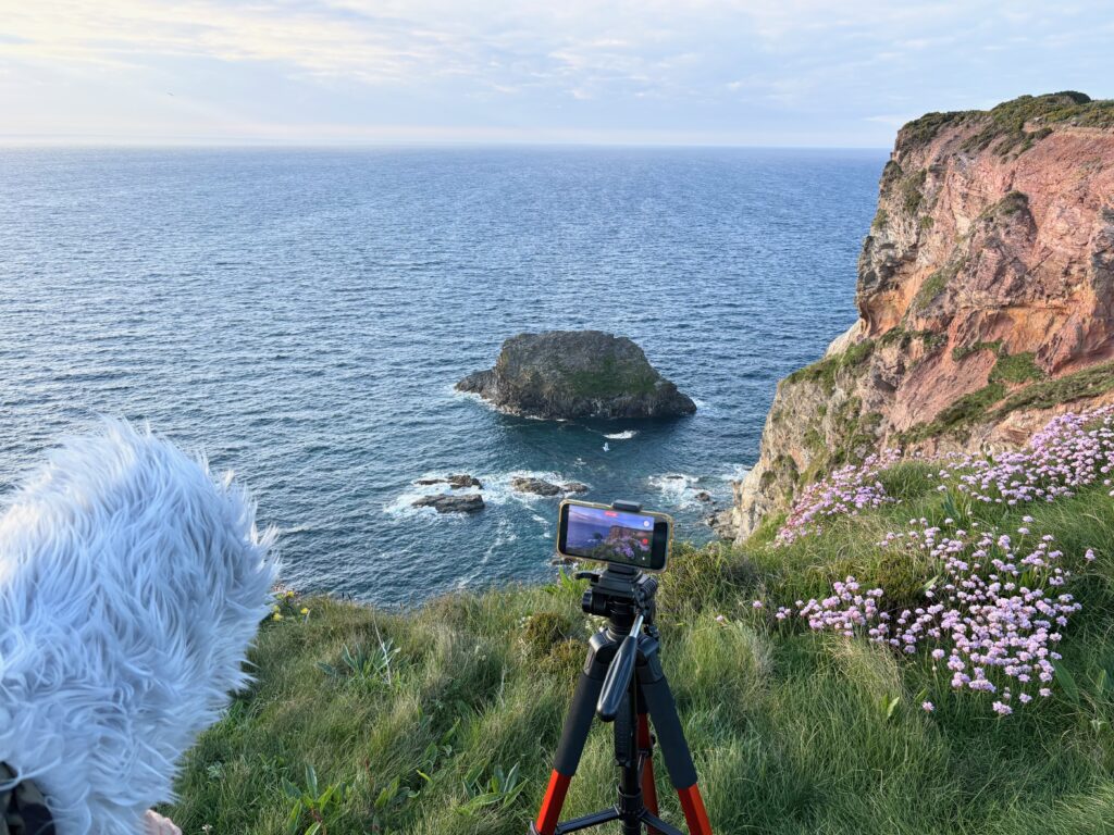 Recording the view from the south west coast path