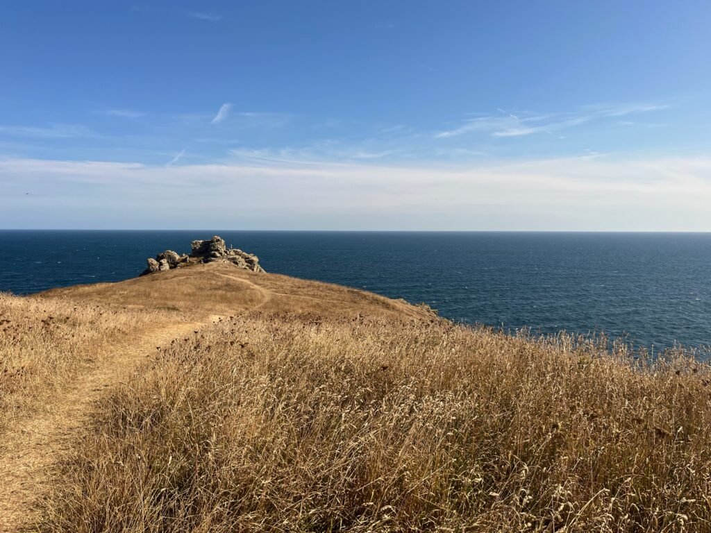 Rocky outcrop near Bass Point, The Lizard, Cornwall